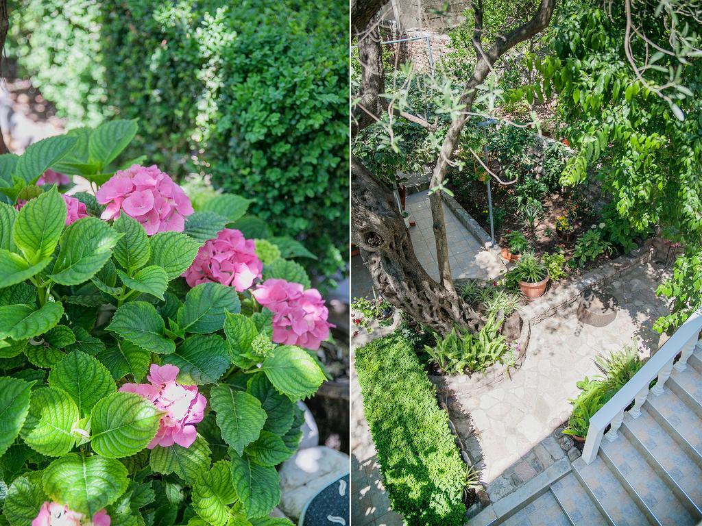 Rooms Garden Petrovac Екстер'єр фото